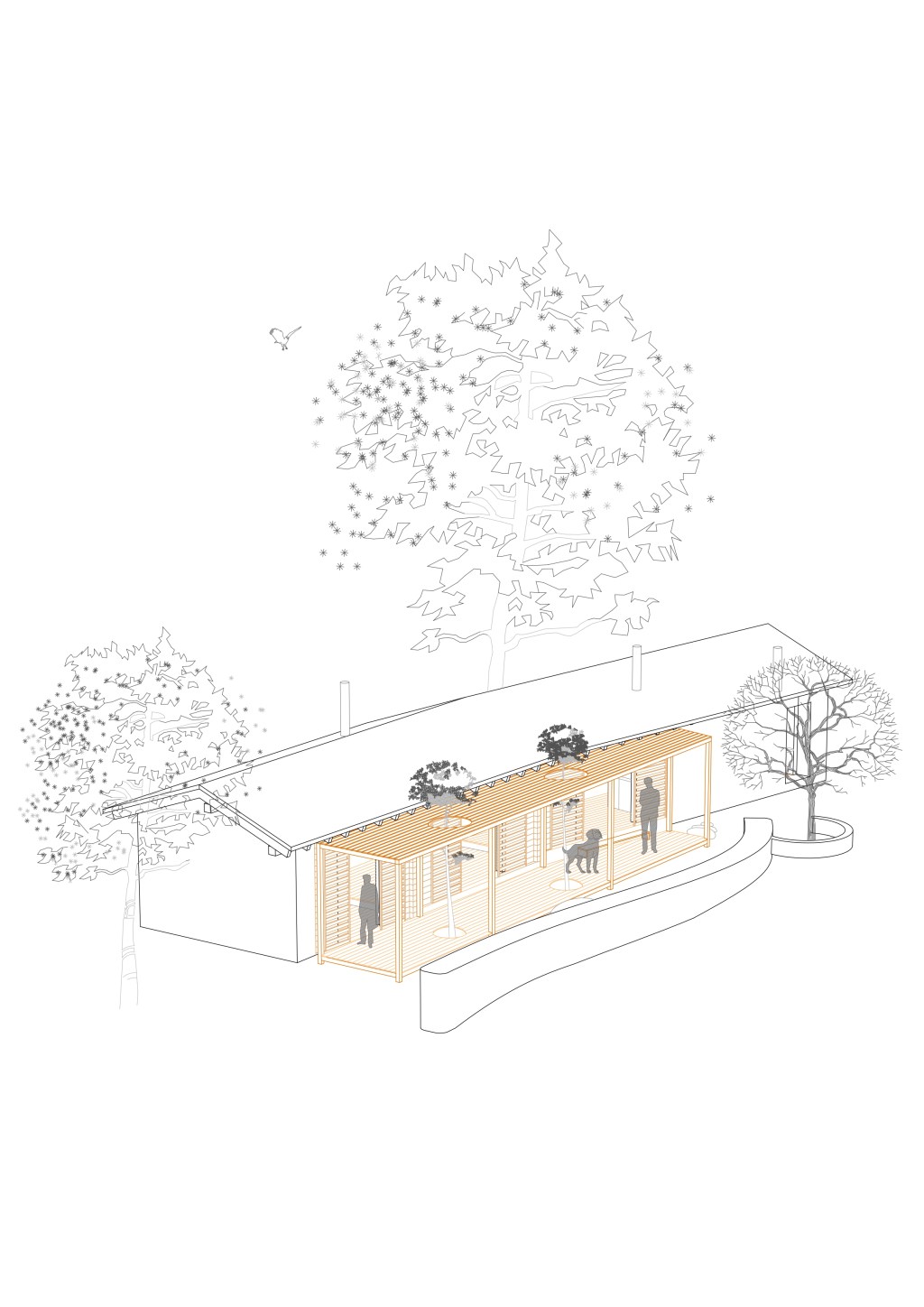 Biblioteca en el&nbsp;campo